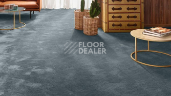 Ковролин Vorwerk Exclusive 1060 Safira 3q45 фото 1 | FLOORDEALER