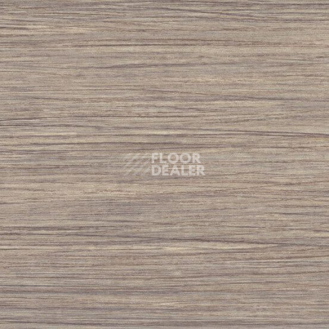Линолеум Gerflor Taralay Initial Compact (wood) 0799 Filament Light фото 1 | FLOORDEALER