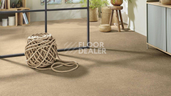 Vorwerk Superior 1065/Viola Vorwerk 7g75 фото 2 | FLOORDEALER