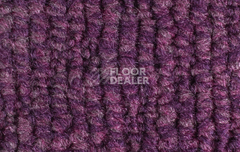 IVC Liberate 467 фото 4 | FLOORDEALER