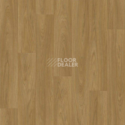 Линолеум Tarkett Sprint Pro CARNEY 2 фото 1 | FLOORDEALER