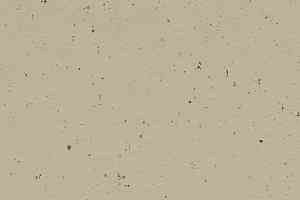 Линолеум Forbo Marmoleum Solid Cocoa 3595 pannacotta фото  | FLOORDEALER