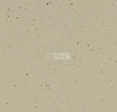 Линолеум Forbo Marmoleum Solid Cocoa 3595 pannacotta фото 1 | FLOORDEALER