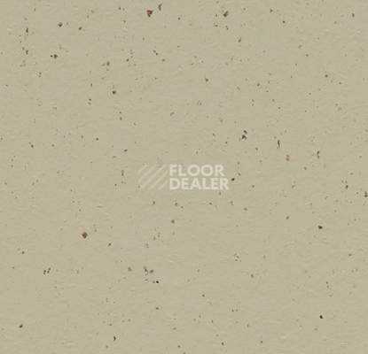 Линолеум Forbo Marmoleum Solid Cocoa 3595 pannacotta фото 1 | FLOORDEALER