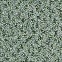 Ковролин Balsan Tango Tango 230  | FLOORDEALER