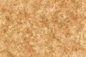 Линолеум Grabo Terrana Top Extra 4534-254 фото  | FLOORDEALER