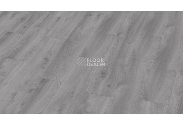 Ламинат Kronotex Mammut Plus d3670 Дуб Макро Светло-серый фото 1 | FLOORDEALER