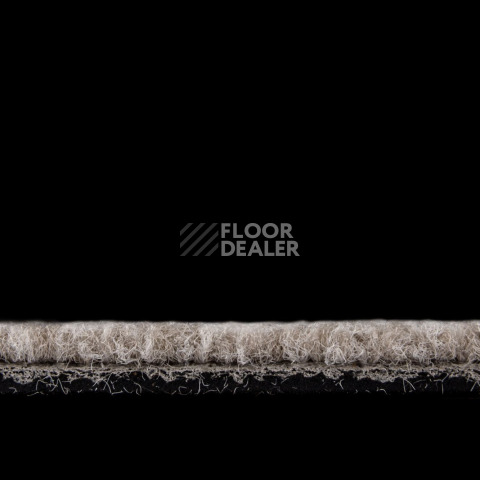IVC Alternate 731 фото 6 | FLOORDEALER