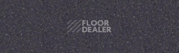Линолеум Tarkett Tempo Plus 1001 фото 1 | FLOORDEALER
