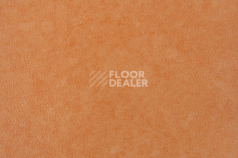 Forbo Emerald Standart 72404 фото 2 | FLOORDEALER