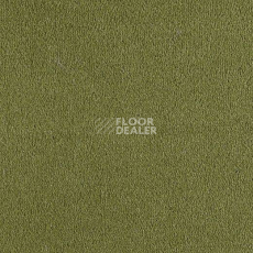 Ковролин Lano Bergamo Ber 0580 фото 1 | FLOORDEALER