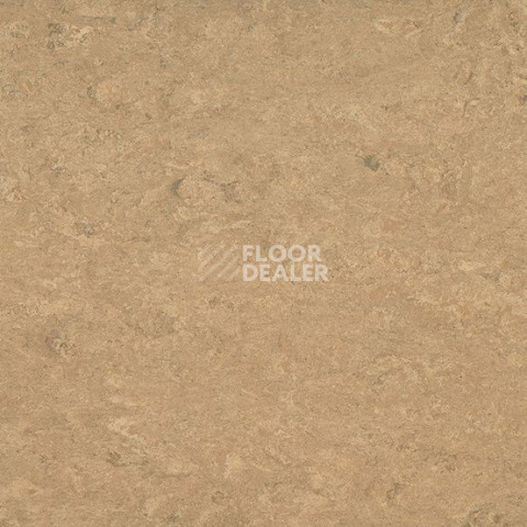 Линолеум Gerflor Marmorette DLW 2.5mm 0042 Shortcrust фото 1 | FLOORDEALER