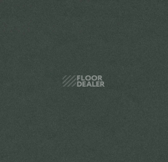 Линолеум Forbo Furniture Linoleum 4174 conifer фото 1 | FLOORDEALER