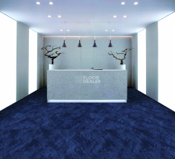 SoleFIT Mistral MS04 фото 5 | FLOORDEALER
