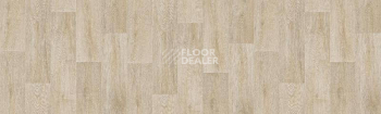 Линолеум Tarkett Fresh TONIC1 фото 1 | FLOORDEALER