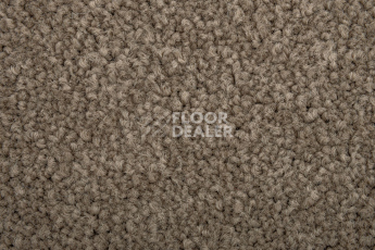 Standard Carpets Mountain View 4398 фото 3 | FLOORDEALER