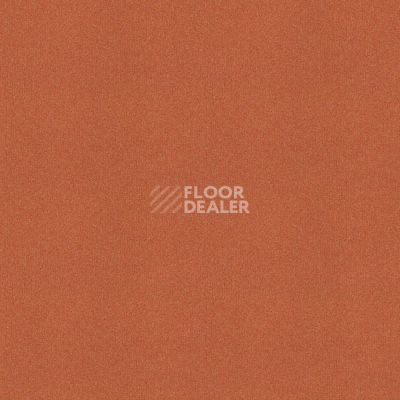 Ковровая плитка Forbo Tessera basis pro 4209 Clementine фото 1 | FLOORDEALER