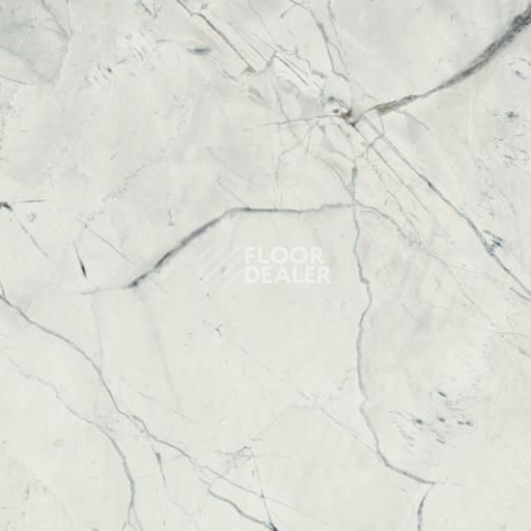 Керамогранит Black & Light Calacatta Dune 60*120 LIGHT Calacatta 60x120 фото 1 | FLOORDEALER