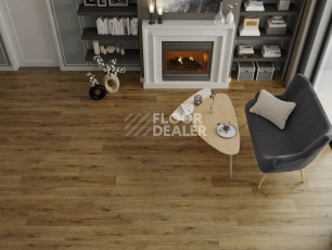 Alpine Floor Eclipse Super Matt 4мм Энигма Есо 21-31 фото 3 | FLOORDEALER