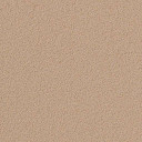 Линолеум Forbo Marmoleum Bulletin Board 2186 blanched almond  | FLOORDEALER