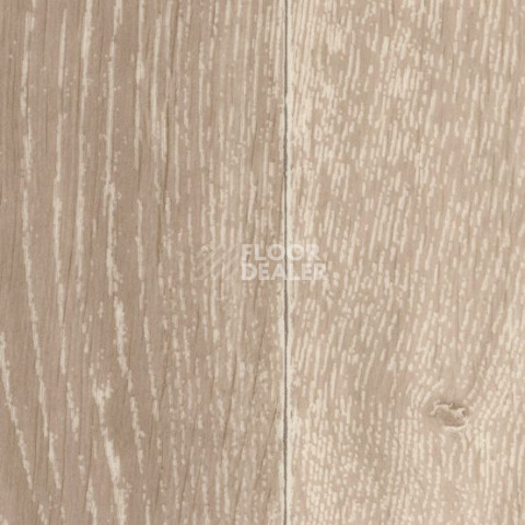 Линолеум Gerflor Taralay Initial Compact (wood) 0698 Noma Naturel фото 1 | FLOORDEALER