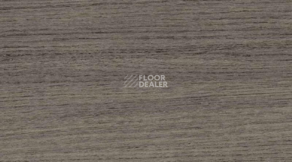 Линолеум Gerflor Taraflex Multi-Use 6.2 Wood 8840_Wood_Black фото 1 | FLOORDEALER