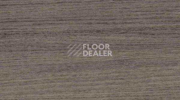 Линолеум Gerflor Taraflex Multi-Use 6.2 Wood 8840_Wood_Black фото 1 | FLOORDEALER