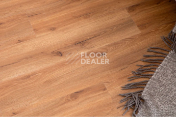 Vinilpol Glue 2мм 8833 EIR ДУБ САН-РЕМО фото 4 | FLOORDEALER
