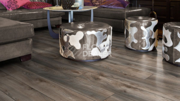 Kronotex Mammut Plus d4792 Дуб Серый Макро фото 3 | FLOORDEALER