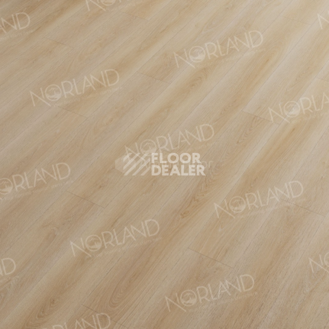 Norland Sigrid  LVT 2мм Eli 1003-6 фото 3 | FLOORDEALER