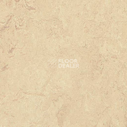 Кварцвиниловые полы Forbo Marmoleum Modular t2713 Calico фото 1 | FLOORDEALER