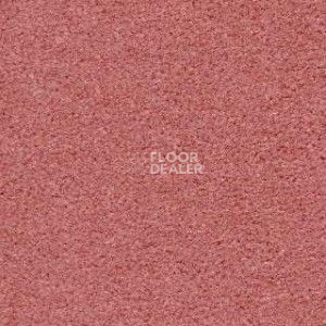 Ковролин Radici Montecarlo 5 фото 1 | FLOORDEALER