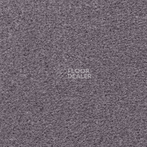 Ковролин Radici Montecarlo 87 фото 1 | FLOORDEALER