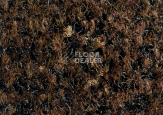 Forbo Coral Brush 5724 Chocolate Brown фото 2 | FLOORDEALER