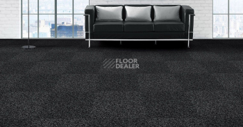 Alfa Alfa 702 фото 2 | FLOORDEALER