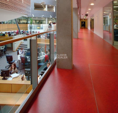 Forbo Marmoleum Modular t3131 scarlet фото 3 | FLOORDEALER