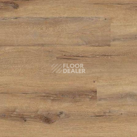 Кварцвиниловые полы Gerflor Creation 55 0850_Cedar_Brown фото 1 | FLOORDEALER