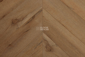 Ламинат Biela Cbm Ostrost 504 A / C  Дуб Липи фото 1 | FLOORDEALER