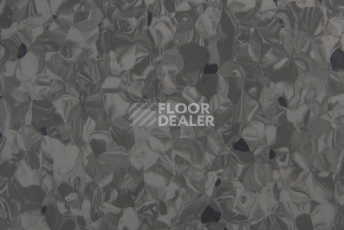 Tarkett Primo Plus 314 фото 2 | FLOORDEALER