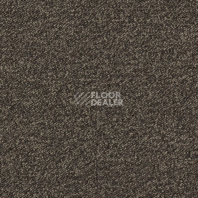 Ковровая плитка AW Maxima 45 фото 1 | FLOORDEALER