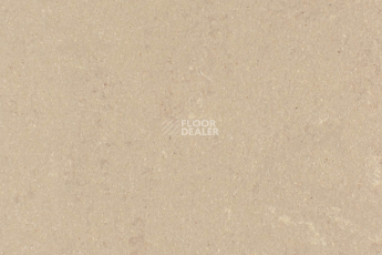 Forbo Marmoleum Solid Concrete 3709-370935 silt фото 1 | FLOORDEALER