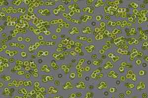 Ковролин Forbo Flotex Sottsass Bacteria 990302 фото  | FLOORDEALER