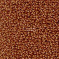 Ковролин Infloor Campino 700 фото 1 | FLOORDEALER