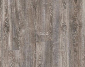 My Floor Residence 10мм ml1016 Дуб Горный Титан фото 1 | FLOORDEALER