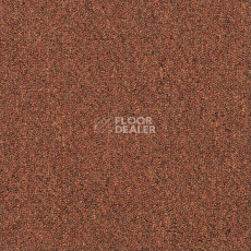 Ковровая плитка Shaw Momentum 02605 фото 1 | FLOORDEALER