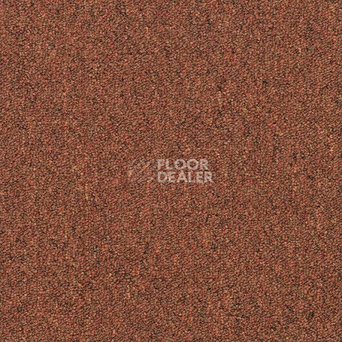 Ковровая плитка Shaw Momentum 02605 фото 1 | FLOORDEALER