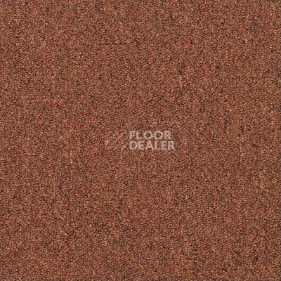 Ковровая плитка Shaw Momentum 02605 фото 1 | FLOORDEALER