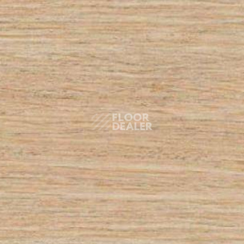 Плинтус Dollken EP 60/13 2813 фото 2 | FLOORDEALER