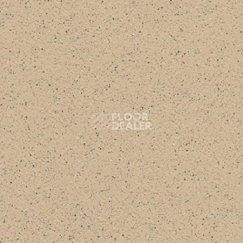 Линолеум Gerflor Tarasafe Standard 7312_Dune фото 1 | FLOORDEALER