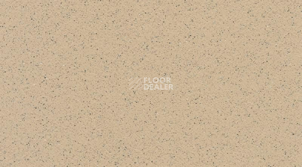 Линолеум Gerflor Tarasafe Standard 7312_Dune фото 1 | FLOORDEALER